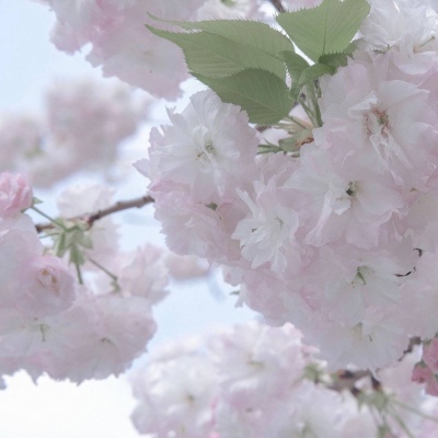 Furry插画手绘技巧干货福瑞交流群